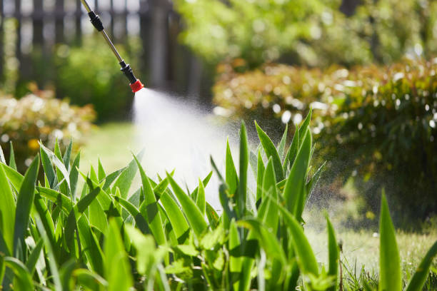 Tamper-Resistant Bait Stations for Rodents in Highland Acres