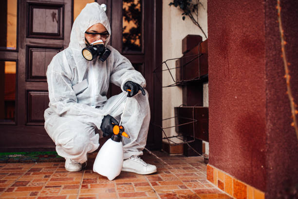 Attic and Crawl Space Rodent Treatment in Highland Acres