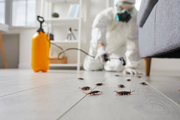 Commercial Rodent Management in Highland Acres